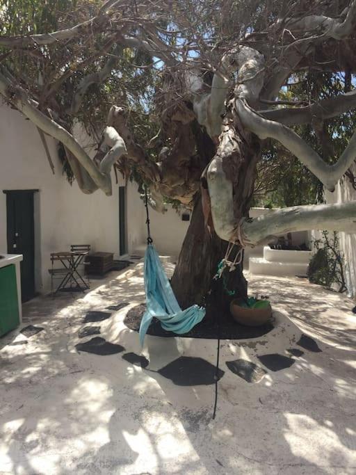 Studio III At Orig. Finca,, Sea Views La Asomada  Exterior foto